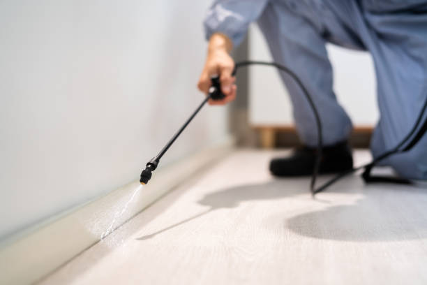 Licensed Cockroach Control service in Astor, FL - Nex Pest Control