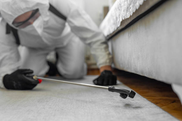 Professional Cockroach Control technician working in Astor, FL