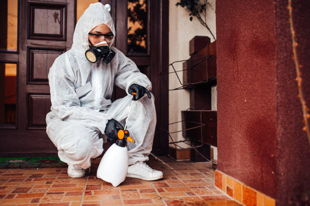 Reliable Cockroach Control contractor in Astor, FL by Nex Pest Control