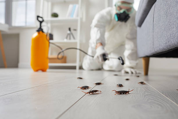 Affordable Cockroach Control solutions in Astor, FL